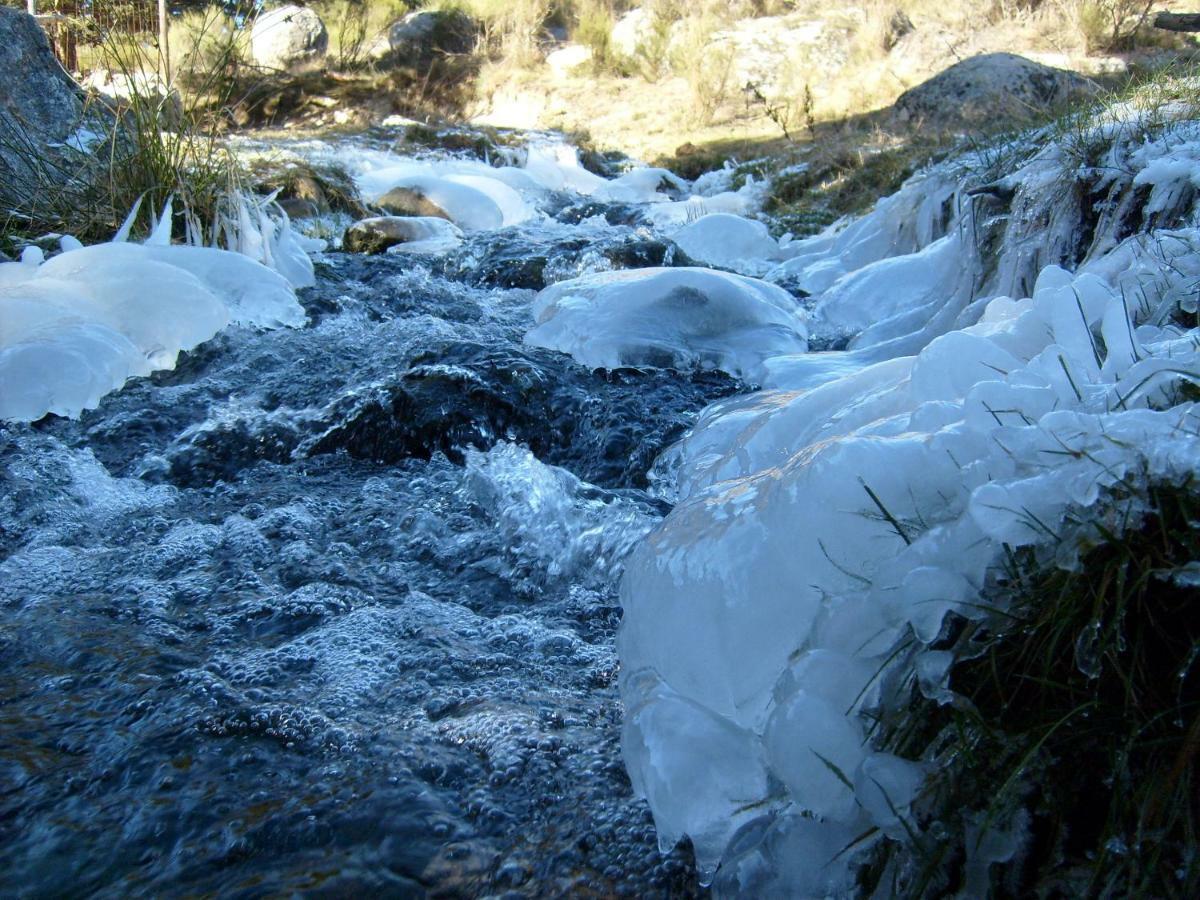 El Rondillo De Gredos Guest House Hoyos del Collado Luaran gambar