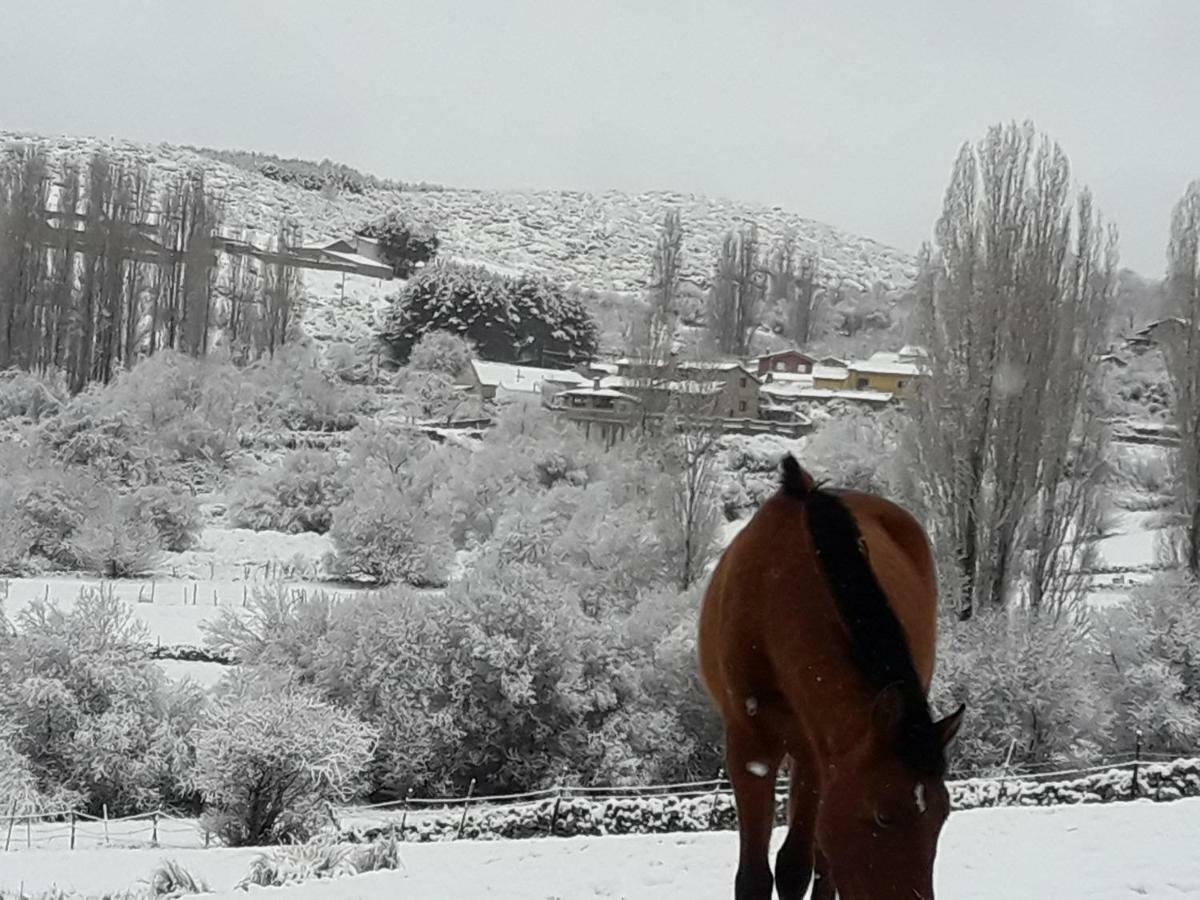 El Rondillo De Gredos Guest House Hoyos del Collado Luaran gambar